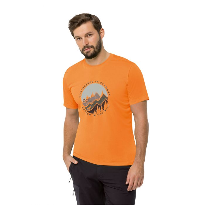 Koszulka z krótkim rękawem męska Jack Wolfskin HIKING S/S T M dragon fire  pomarańczowy | e-Horyzont