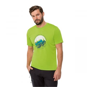 Koszulka z krótkim rękawem męska Jack Wolfskin HIKING S/S T M fresh green