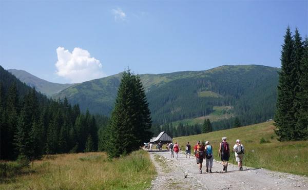 Tatrzańska dolina, którą trzeba odwiedzić: ruszajmy do Doliny Chochołowskiej!