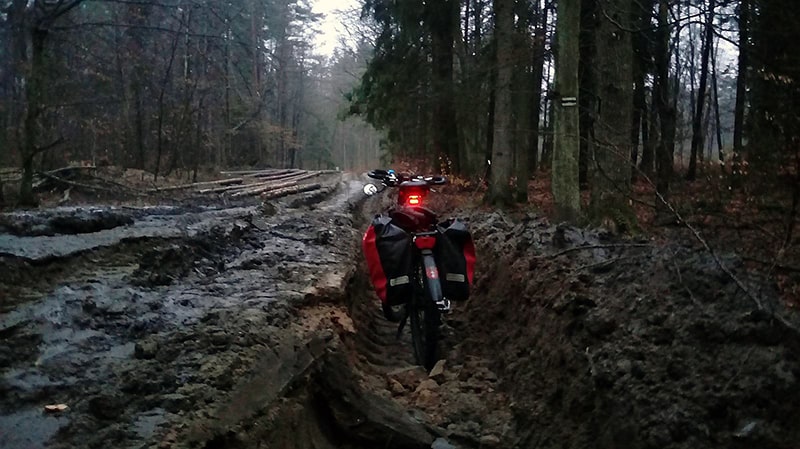 codzienne przeszkody|Leśna droga w Trójmiejskim Parku Krajobrazowym w zimie, zniszczona przez pracowników LP
