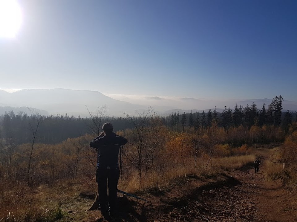 Borowa Góra|Widok ze szlaku na Borową Górę