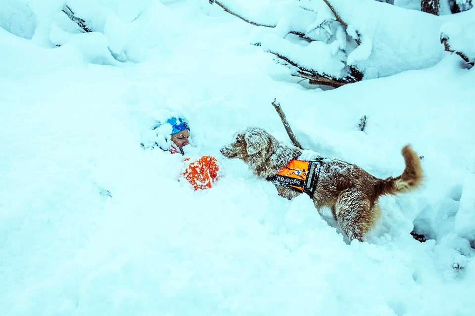 GOPR|Szkolenie lawinowe psa ratownika GOPR (fot. Grupa Beskidzka GOPR)