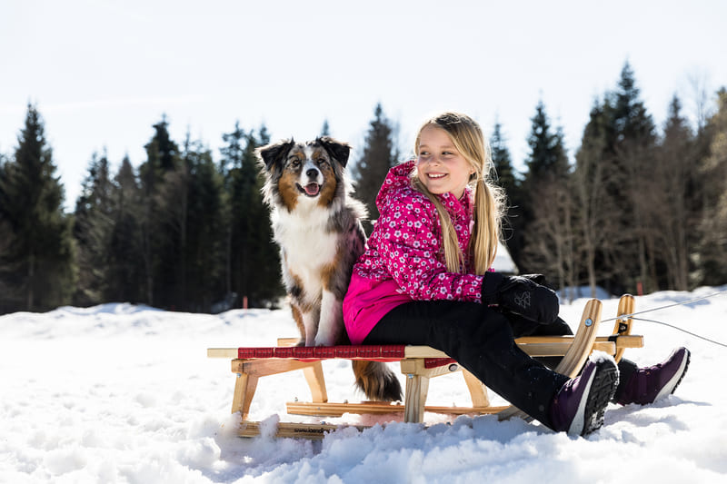 dziewczynka na sankach z psem, ubrania dla dzieci na zimę
